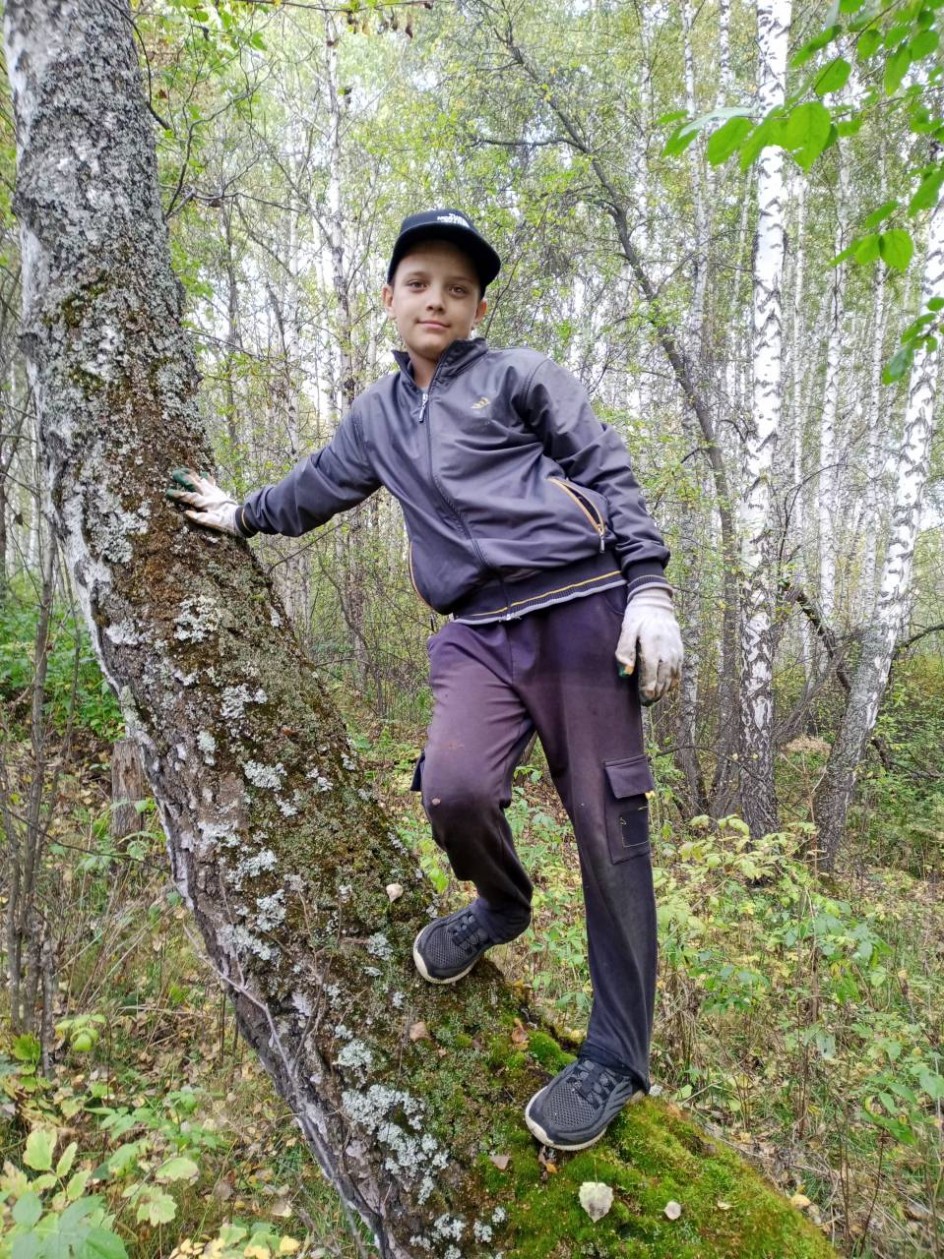 Осенью в лесу
