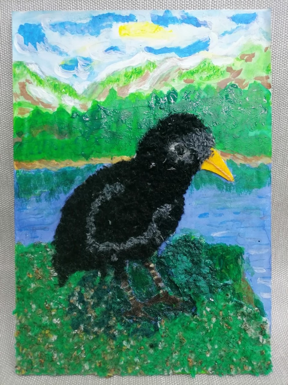 "Птичий край"