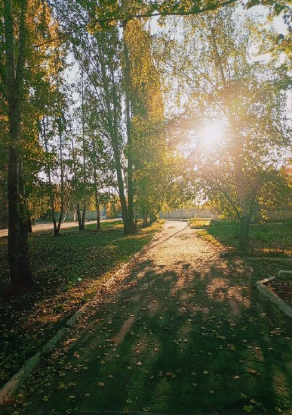 "Яркие мгновения осени"