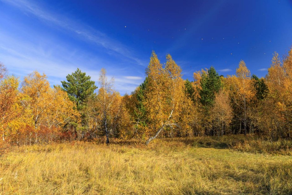 Краски осени