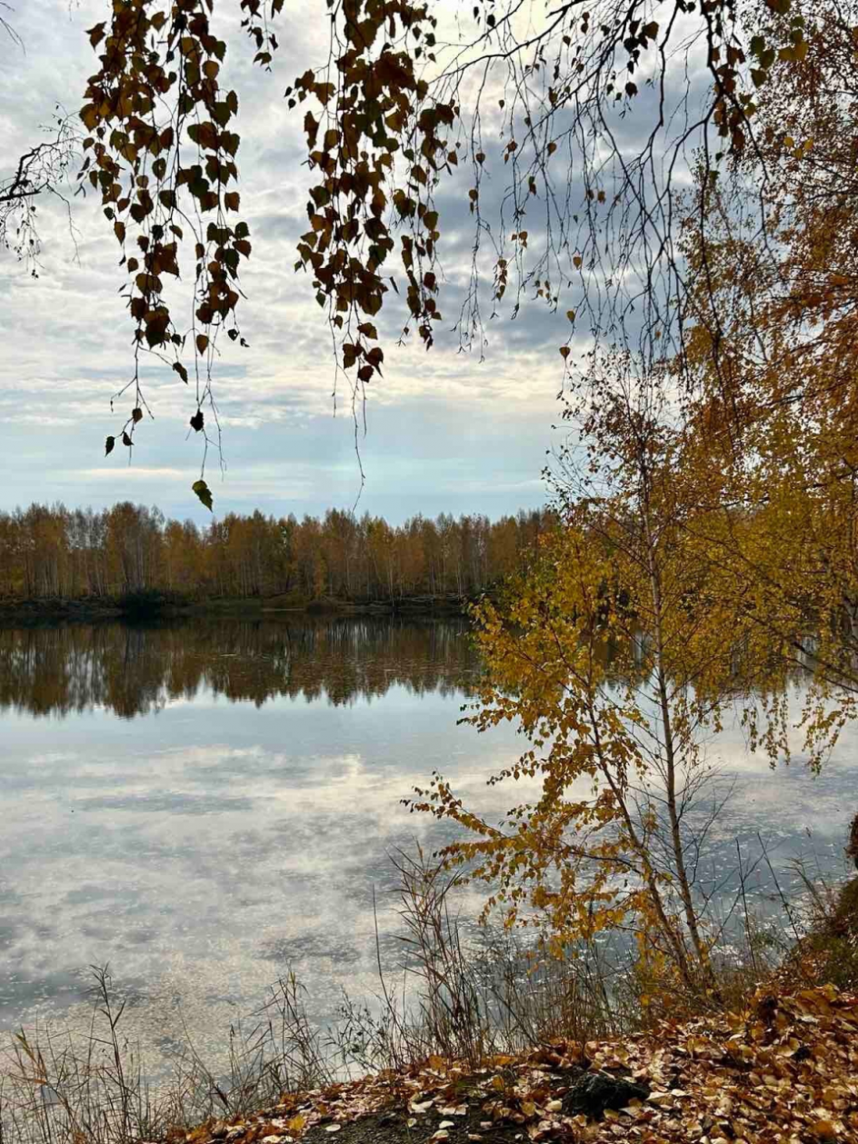 Зеркало воды