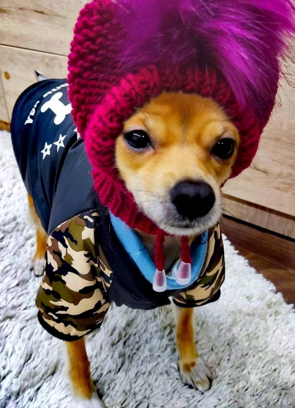 Модница