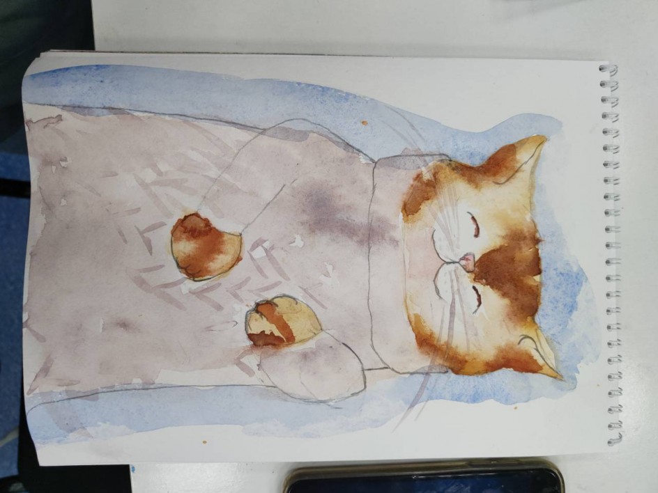 Котик в свитере