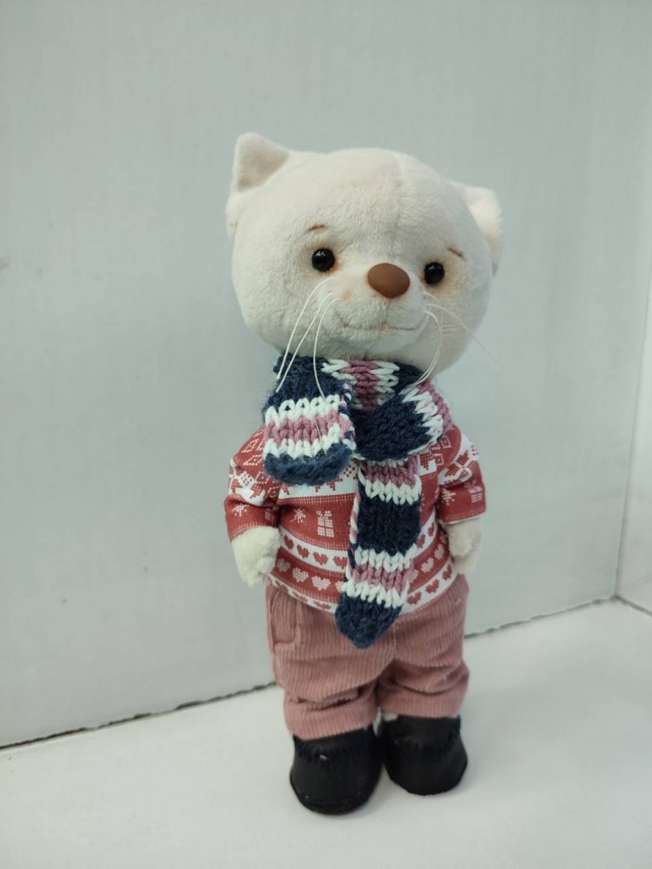 Кот Василий