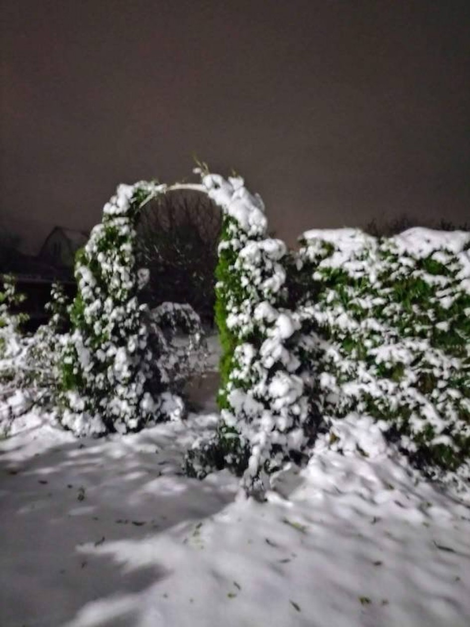 Ночь ,зима, красота.