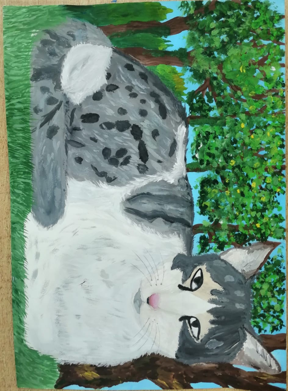 Кошечка