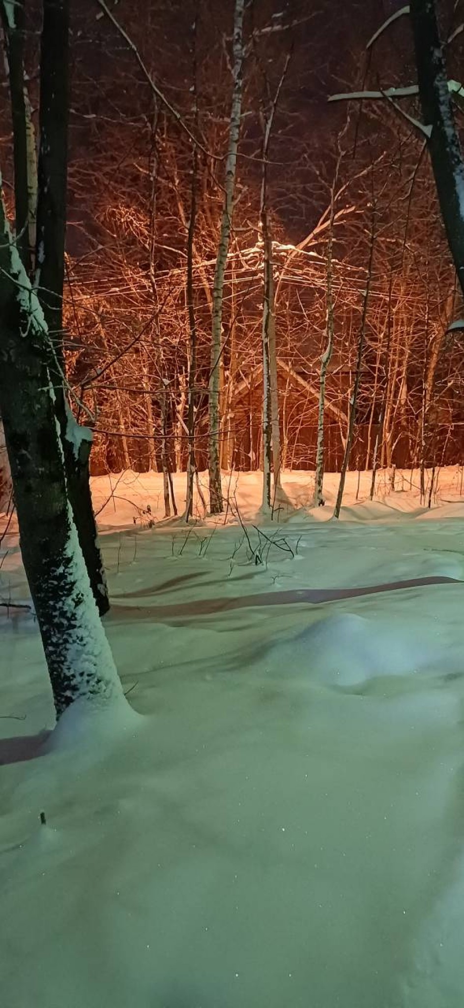 До рассвета.