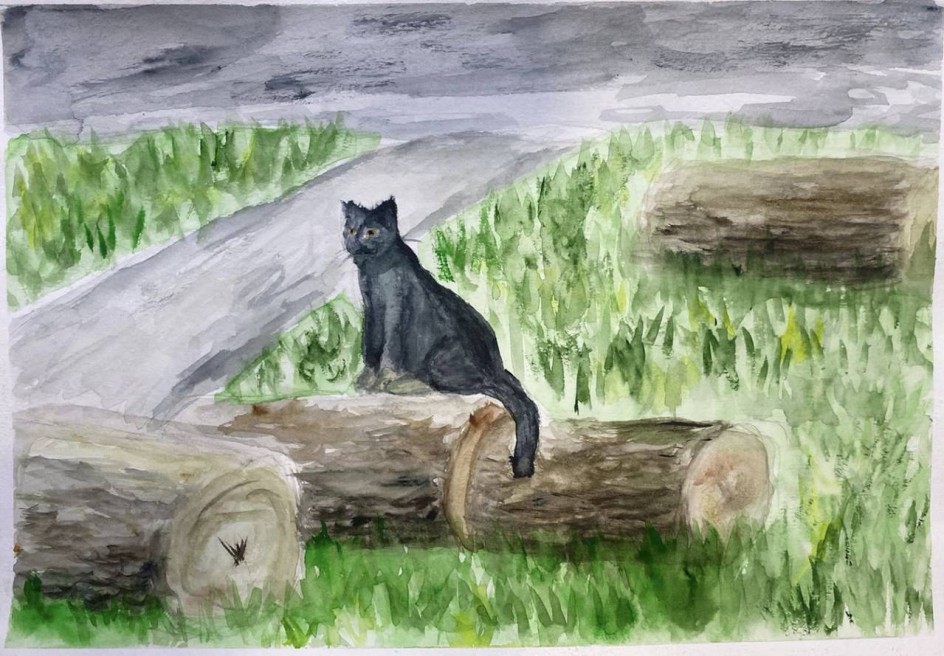 Котик