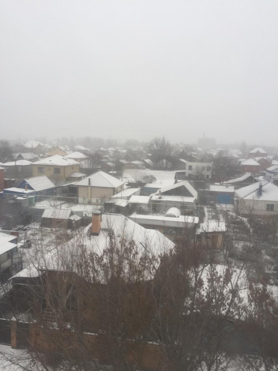 белоснежная улыбка зимы