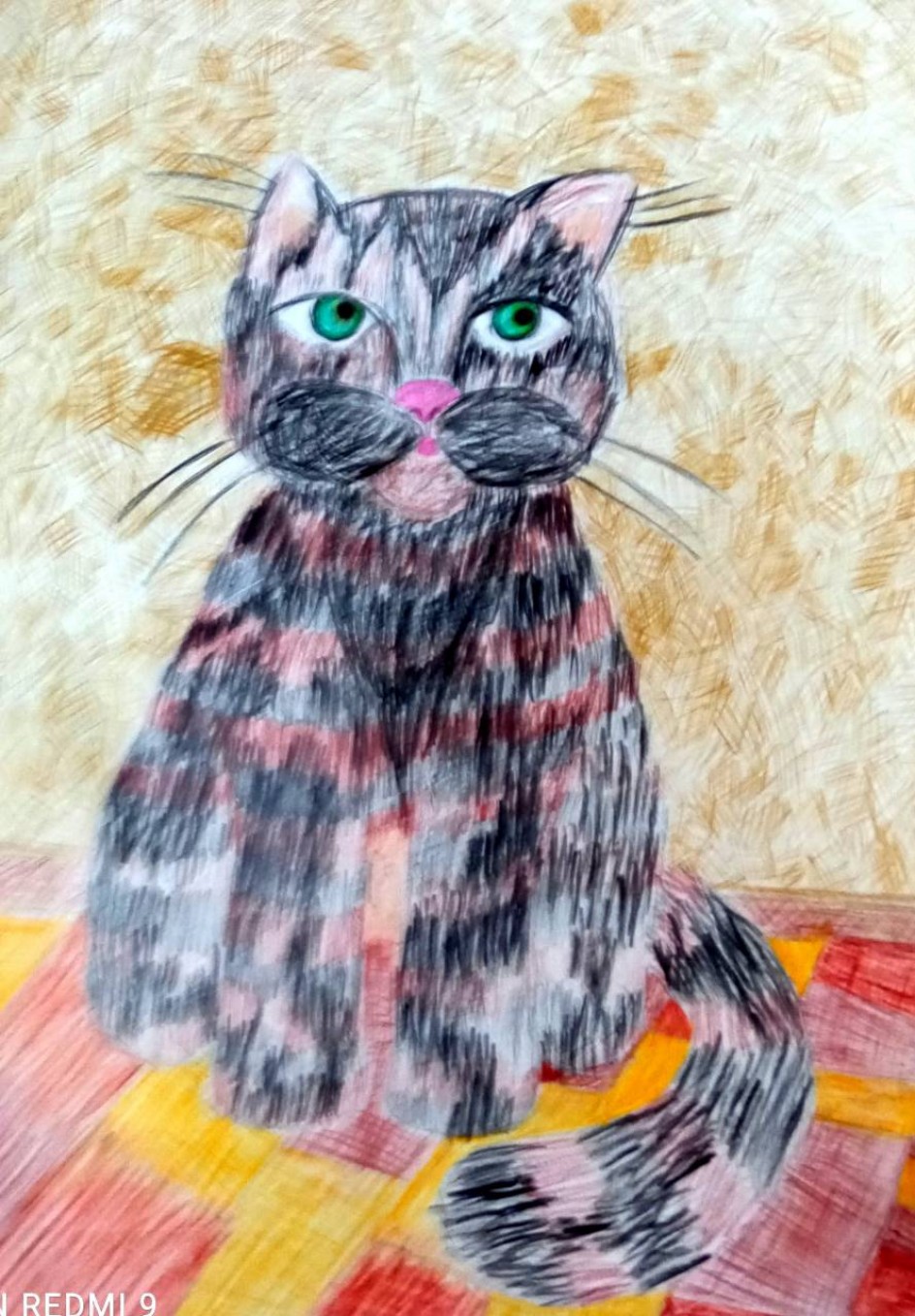 Наш кот