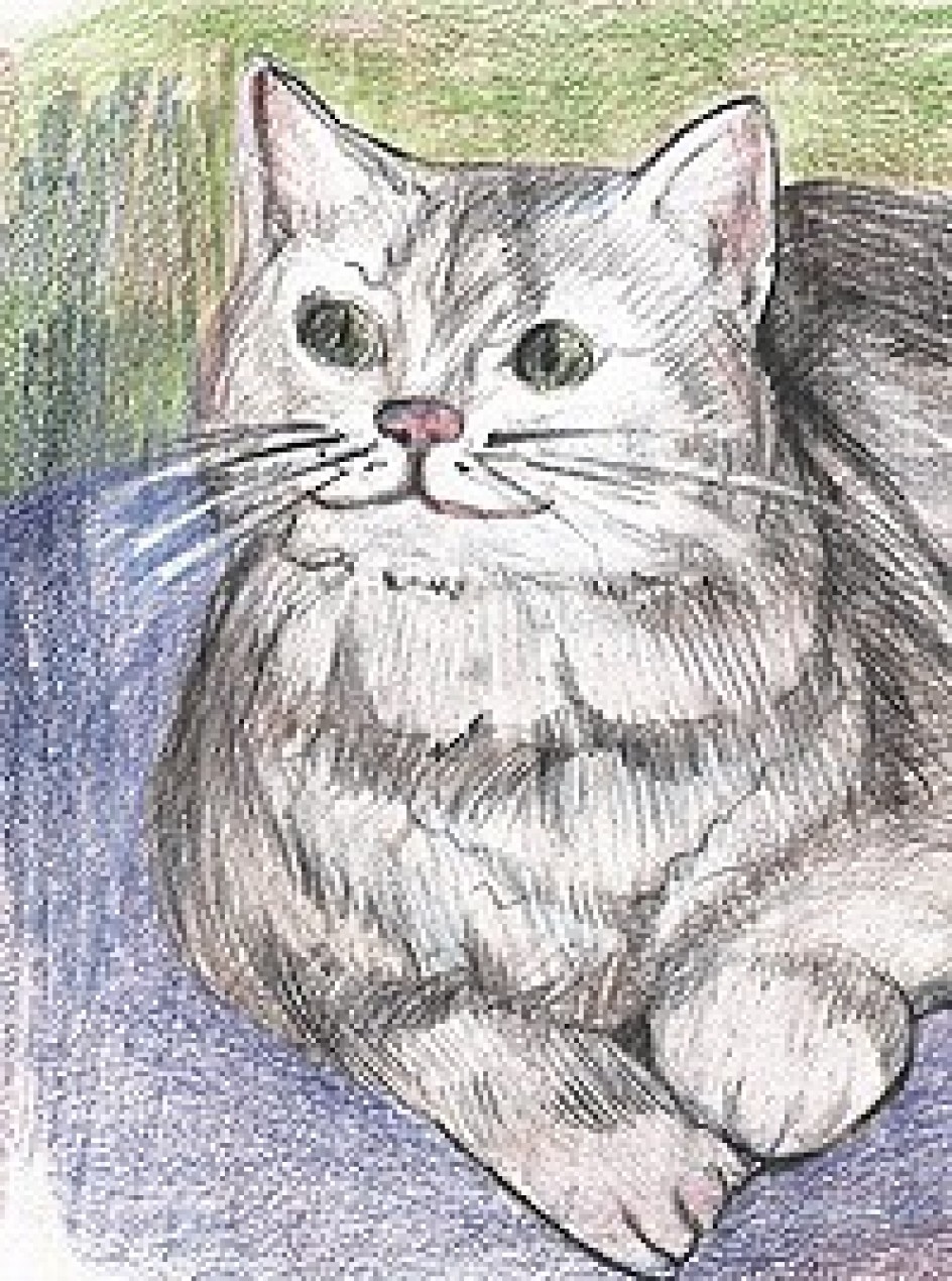 Кошка -Ласка