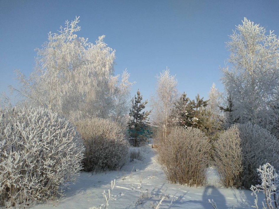 Зимний пейзаж