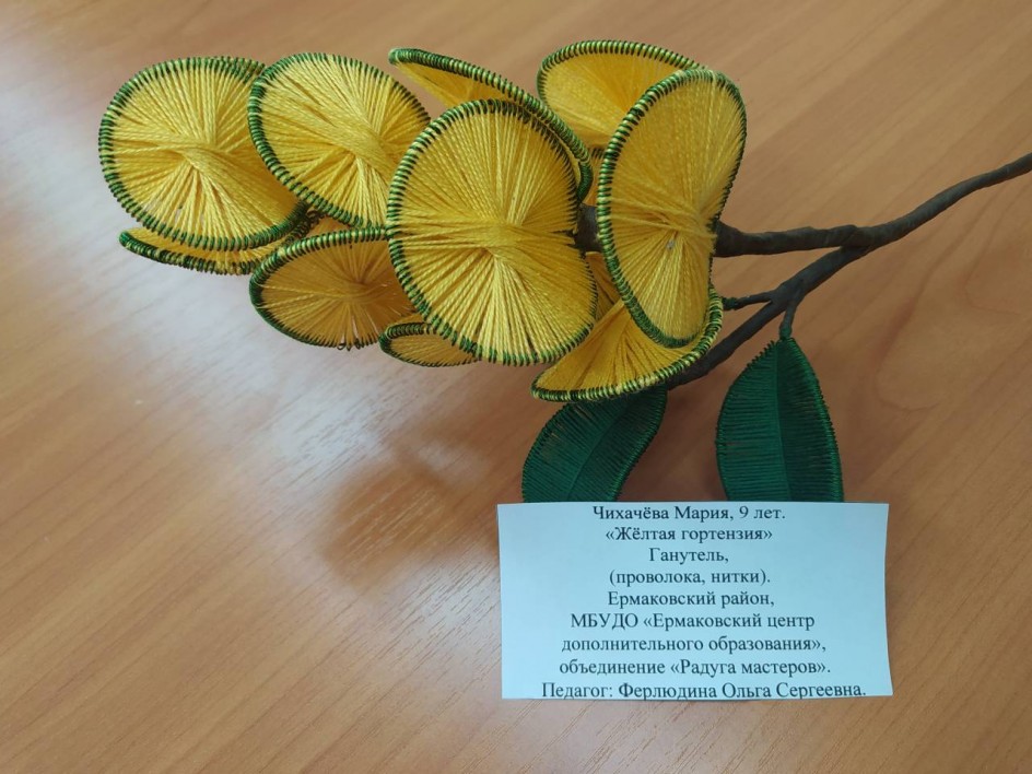 "Жëлтая гортензия"
