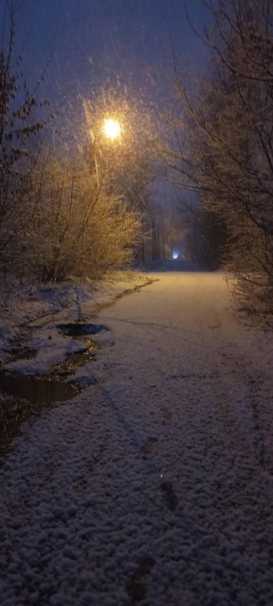 Первый снег