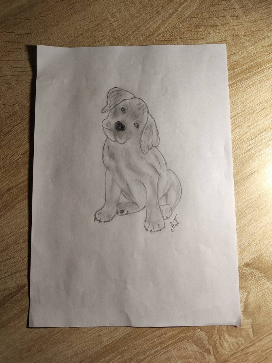 Лучший друг человека