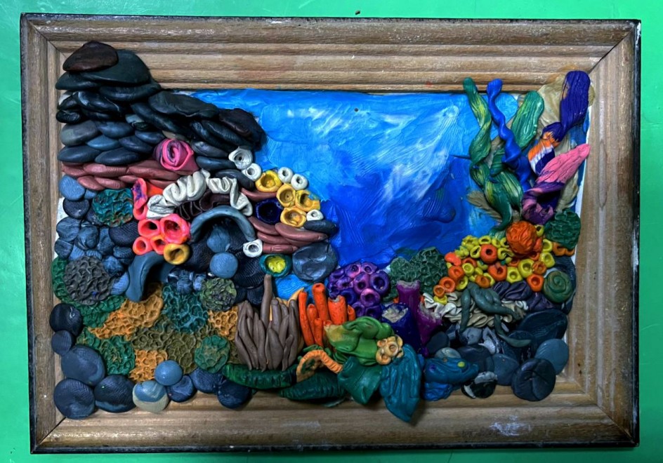 Морской мир