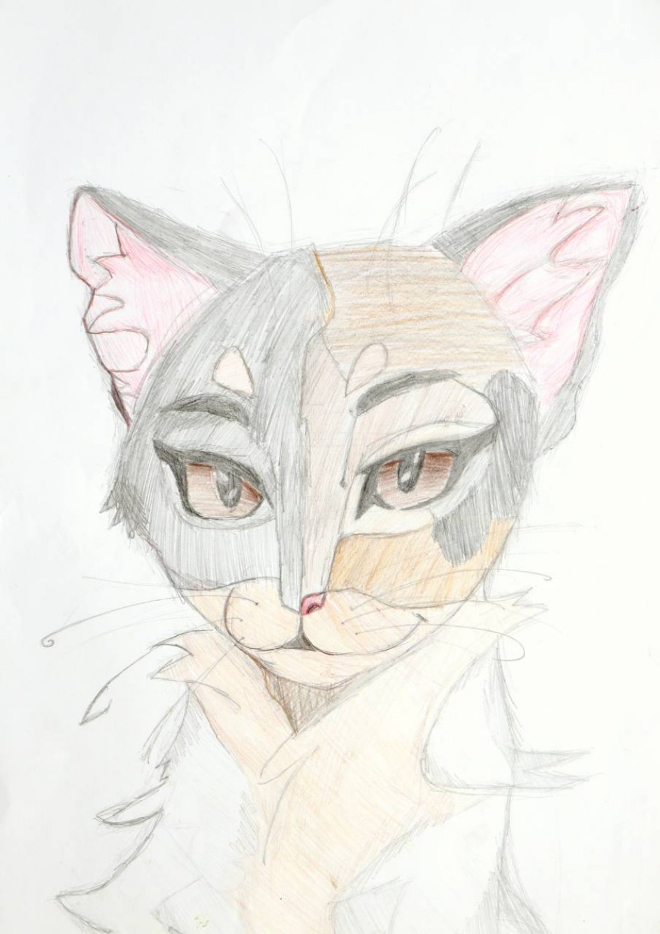 Кот по кличке Удача