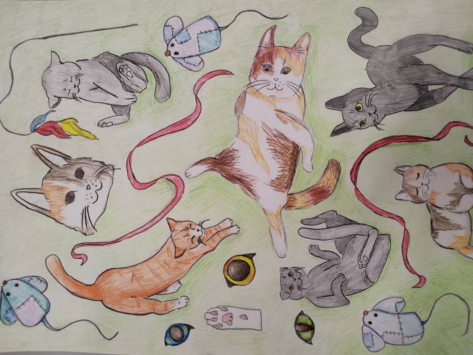 Разные котики