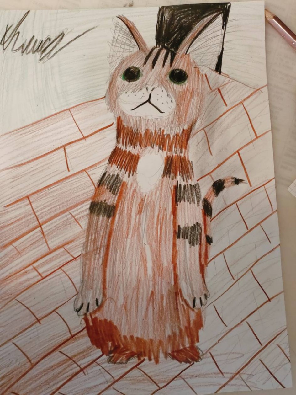 Моя кошка