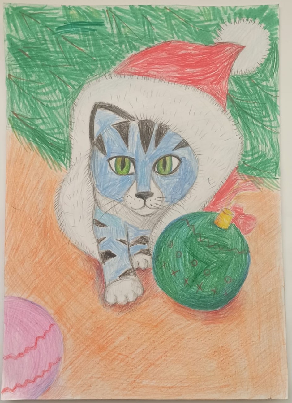 Кот разбойник