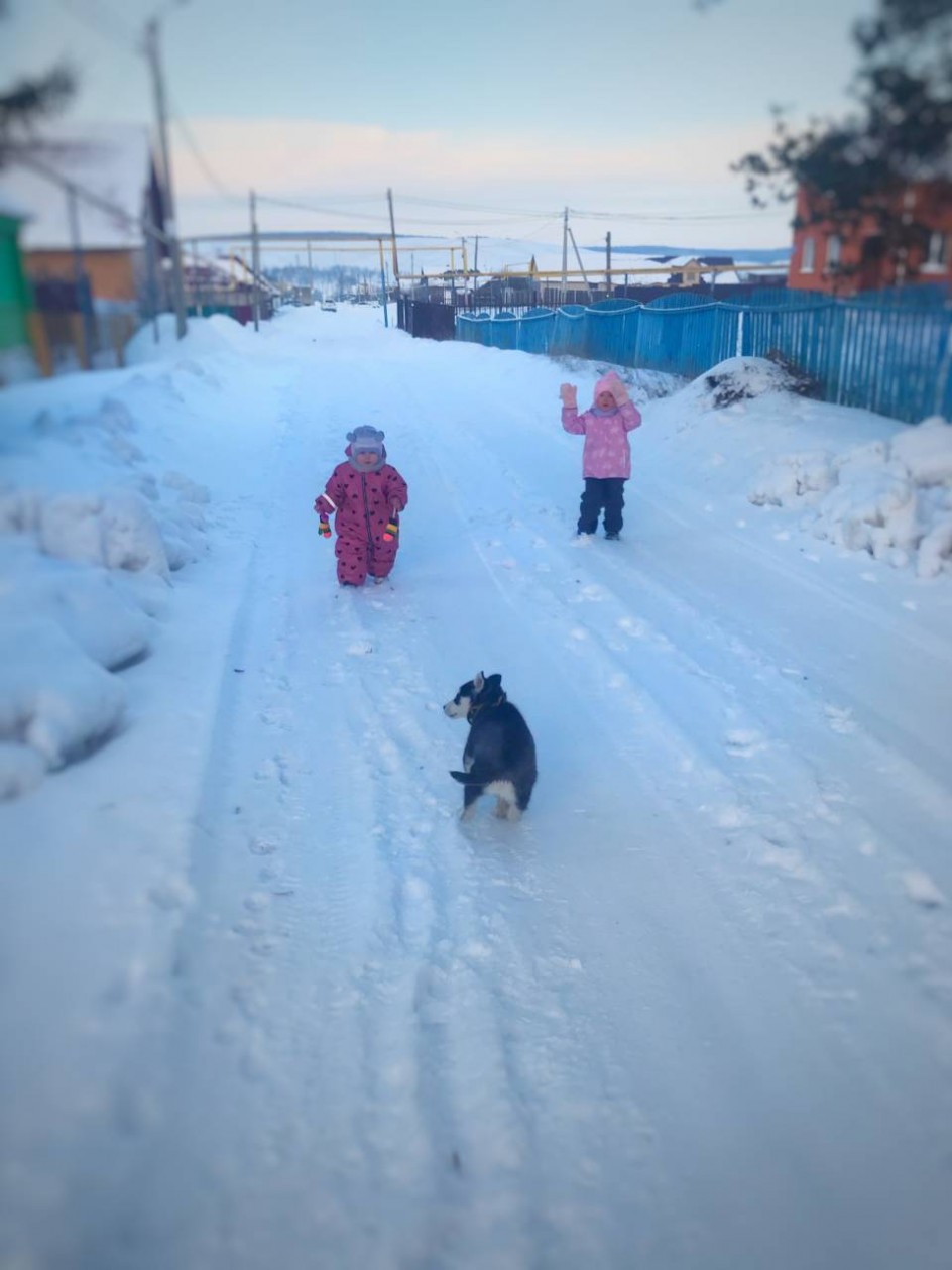 Люблю зиму
