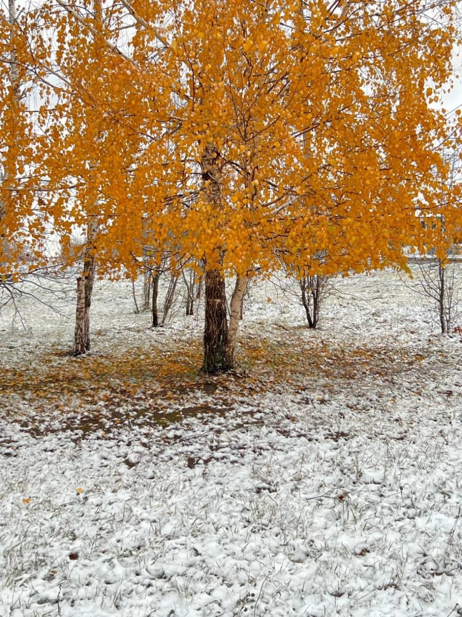 Встреча Осени и Зимы