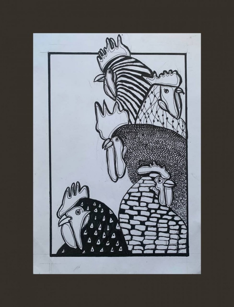Курицы