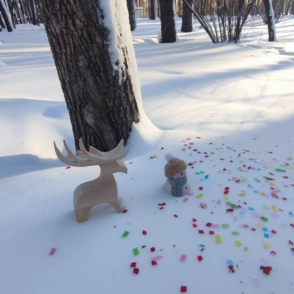 "Прогулка снеговика"