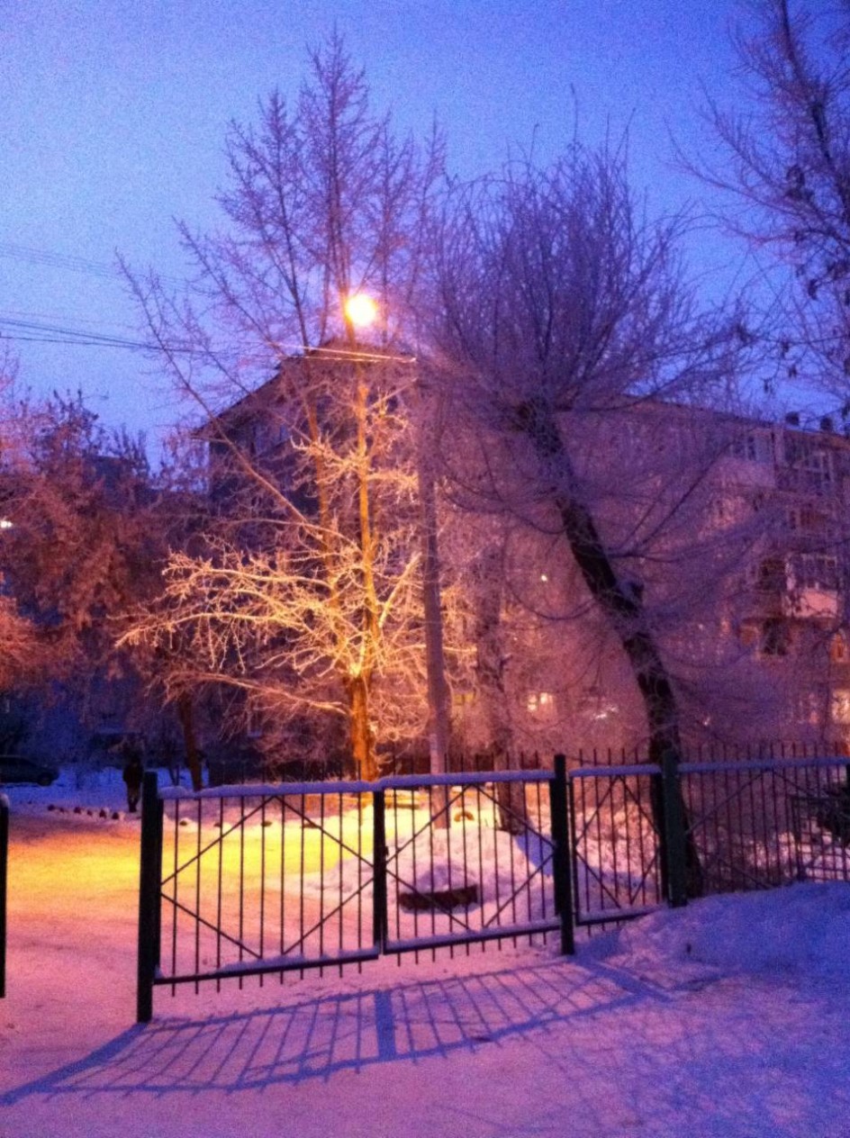 Вечерний свет