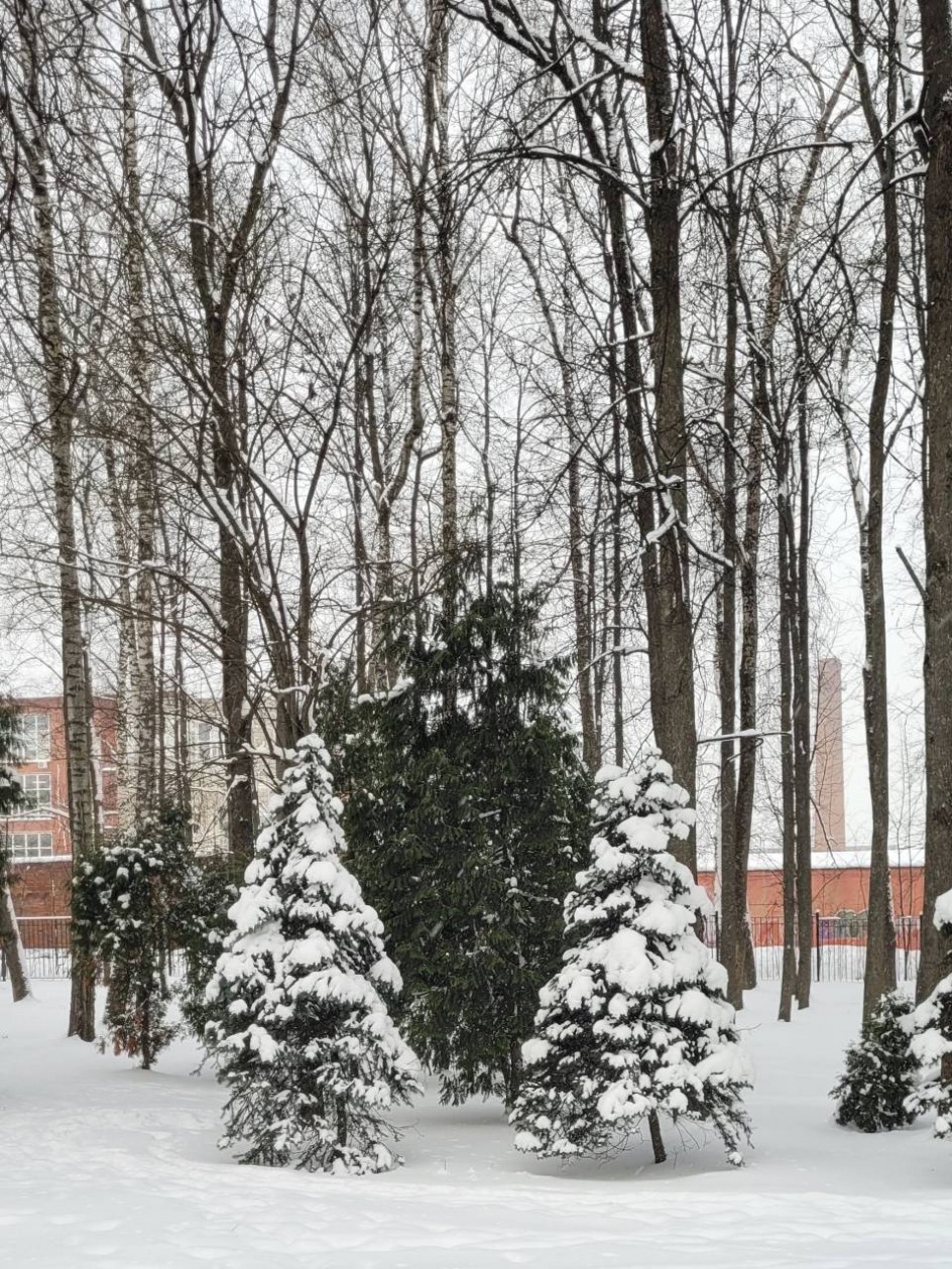Зима в моём городе