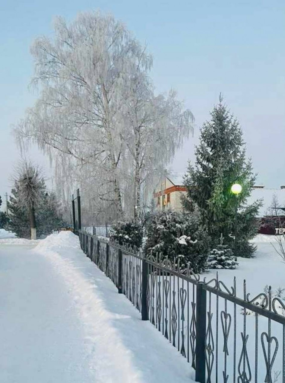 Белоснежная