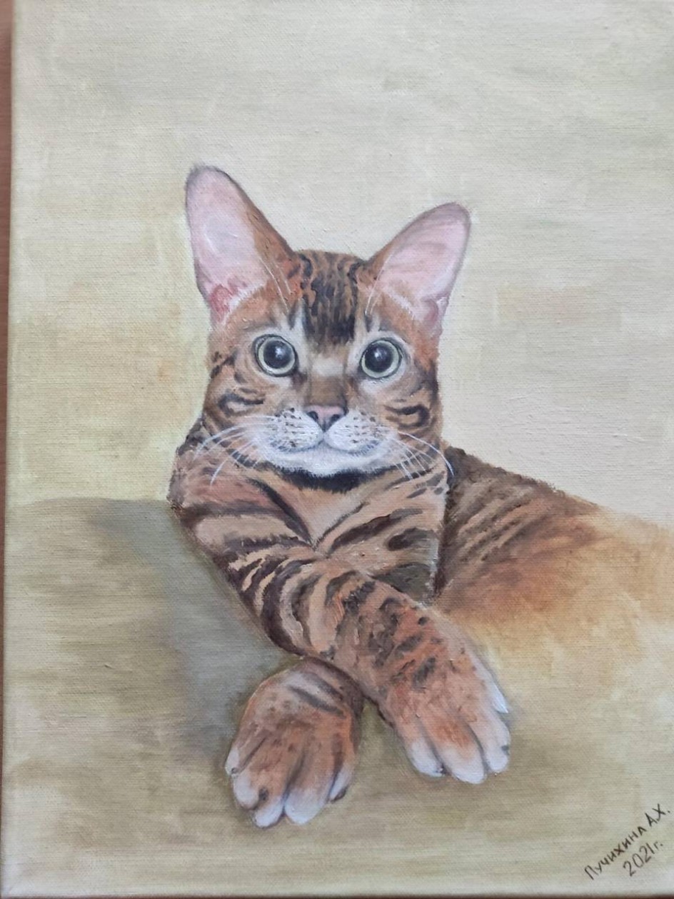 Котик