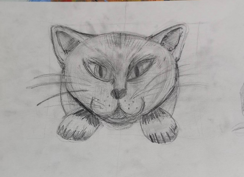 Кошачий глаз