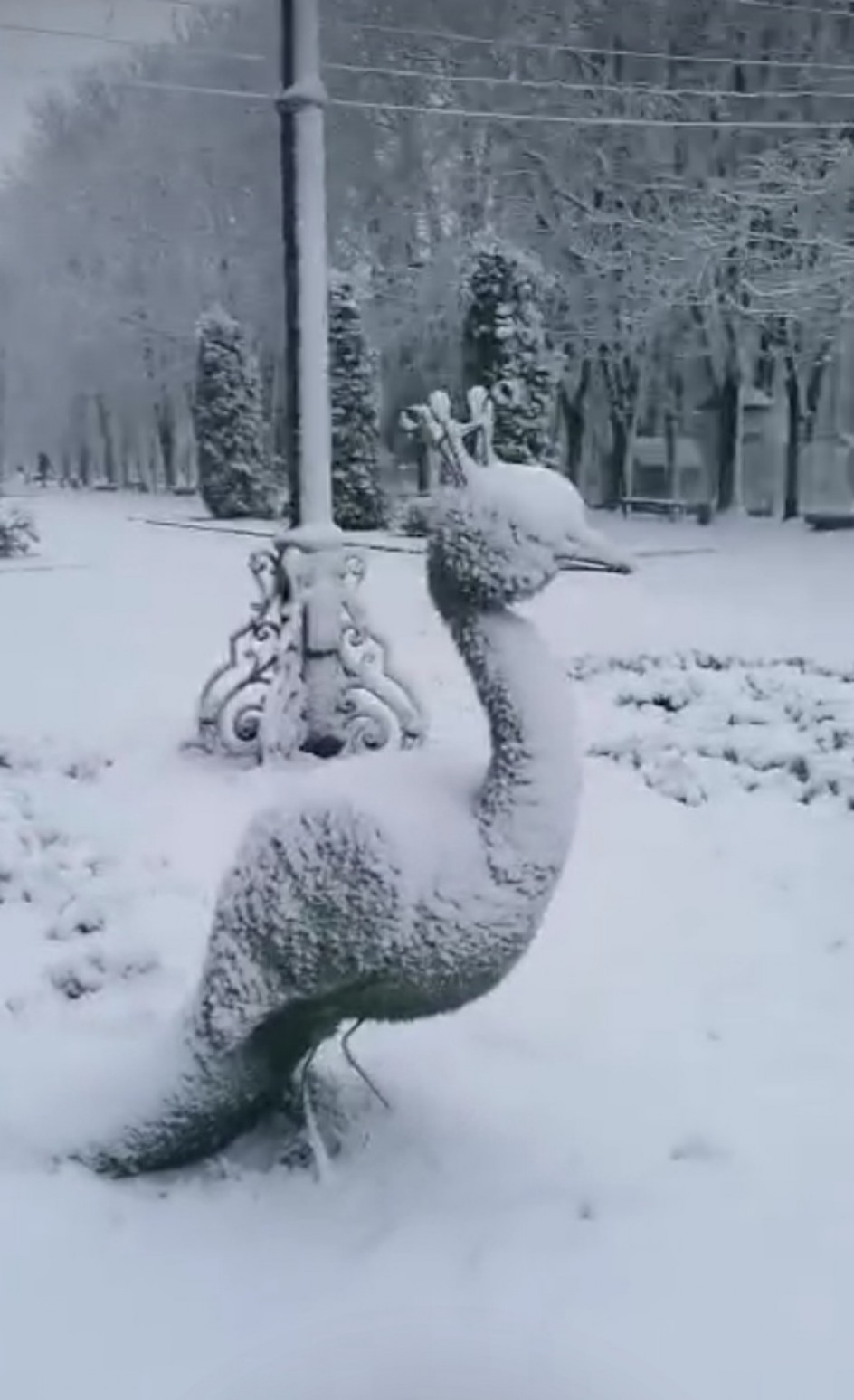 Зимушка-зима