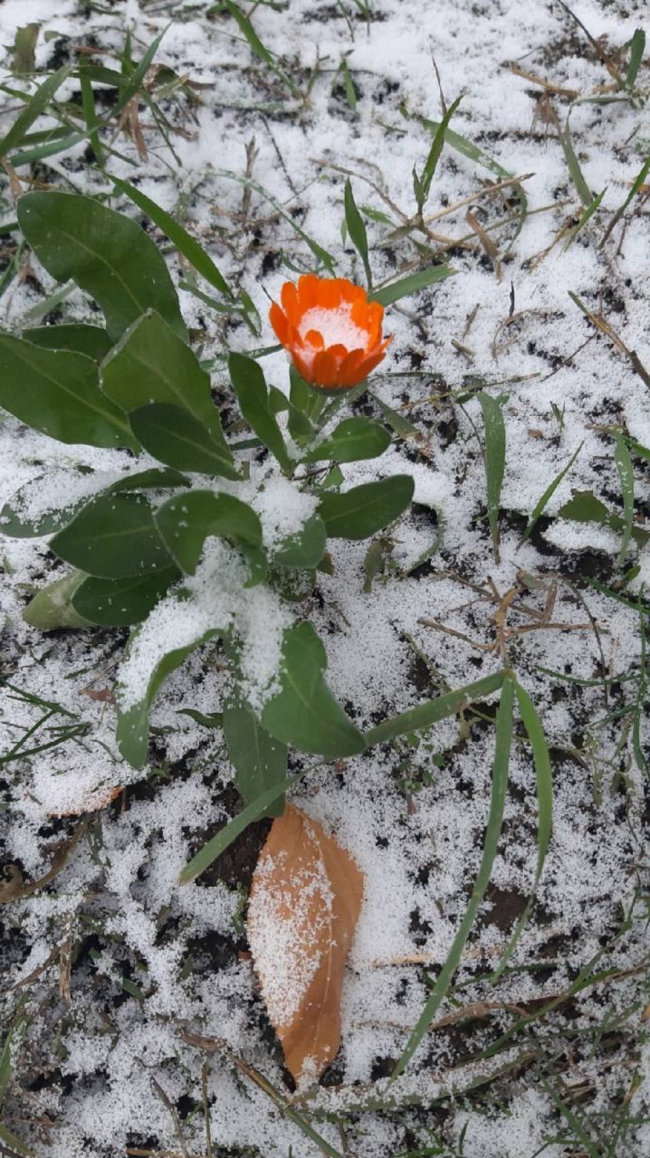 Зима наступает