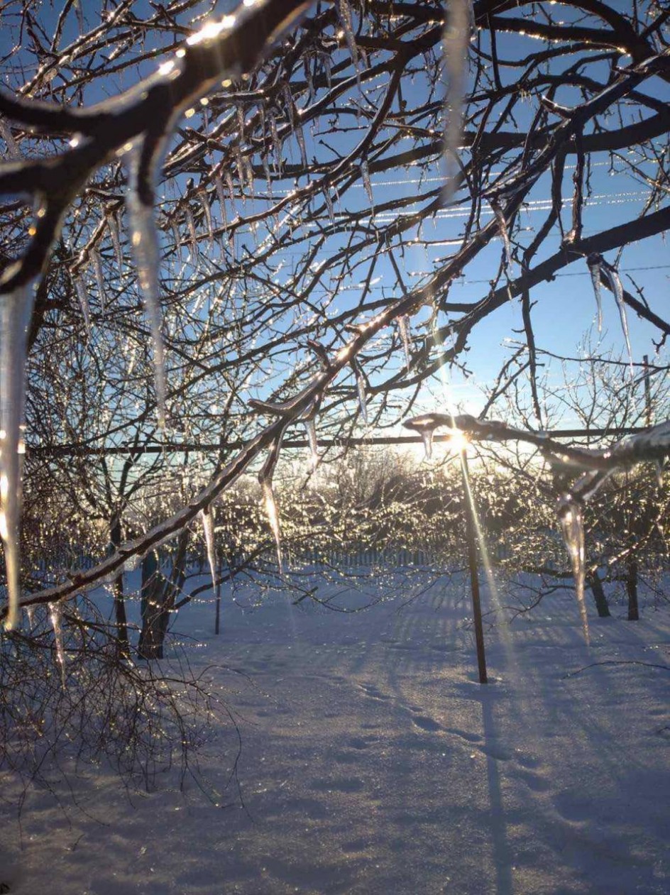 Морозное утро