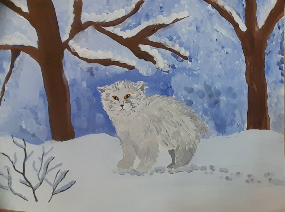 Кот манул
