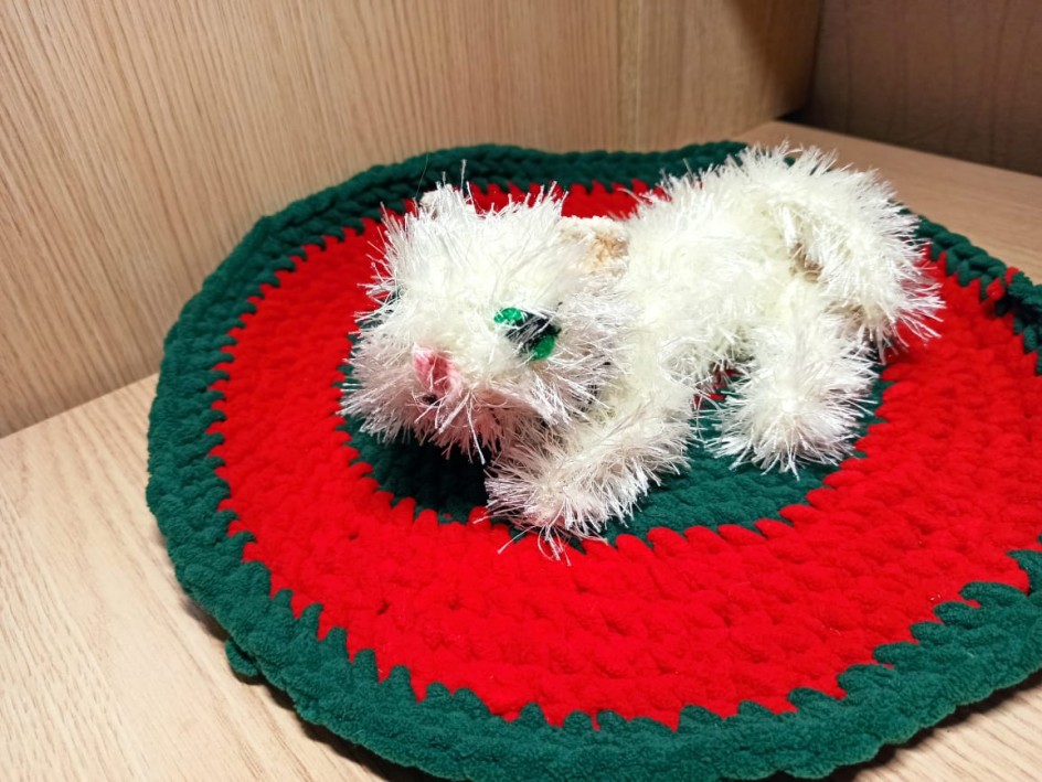 "Котик"