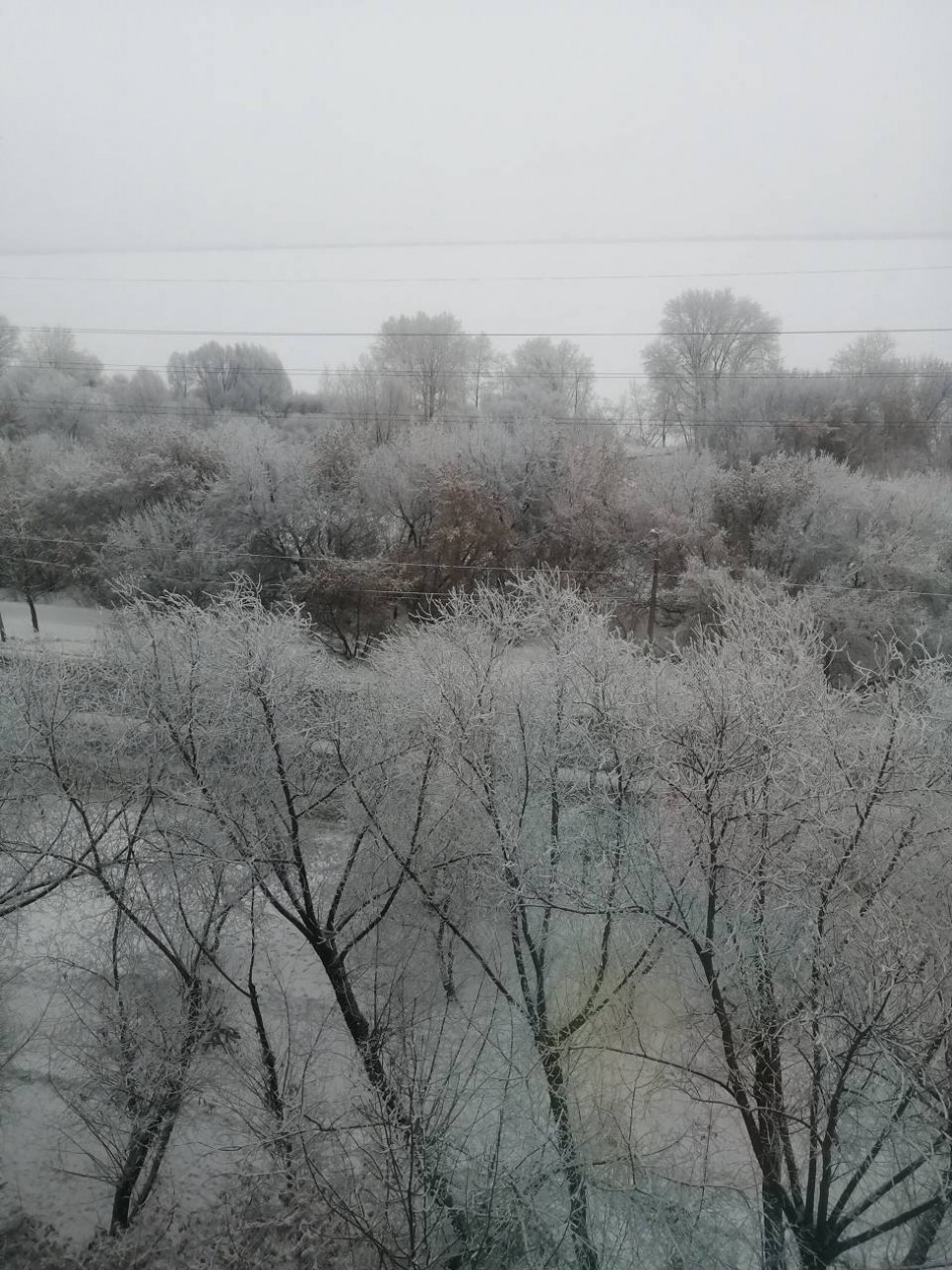 Зимнее утро