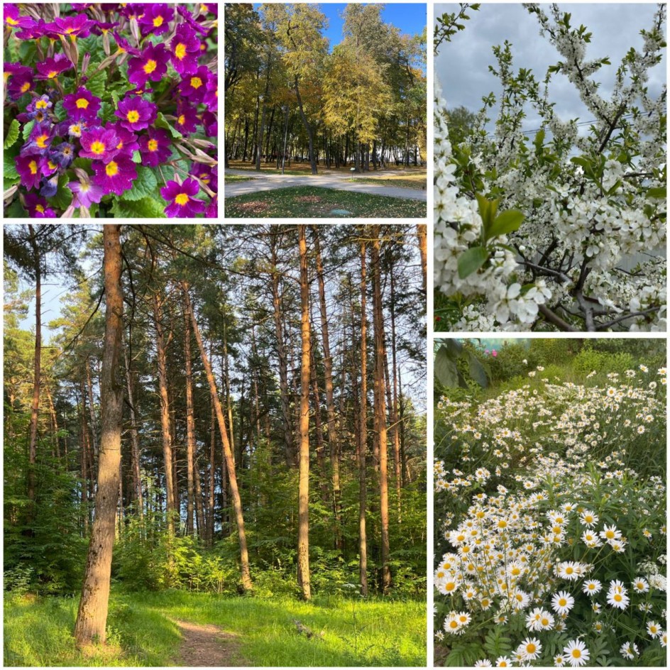 Красоты родины