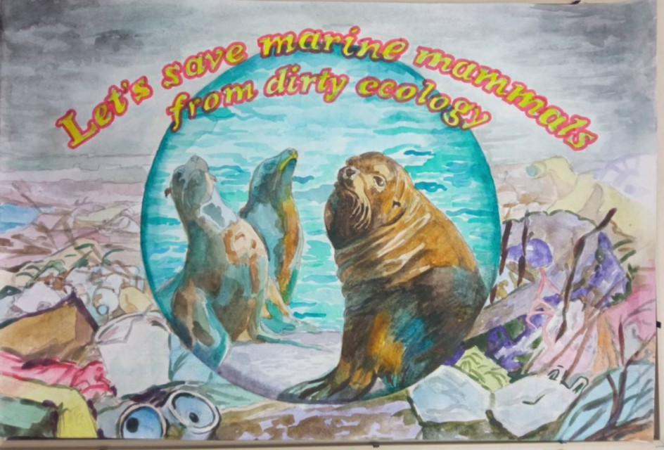 Морские котики