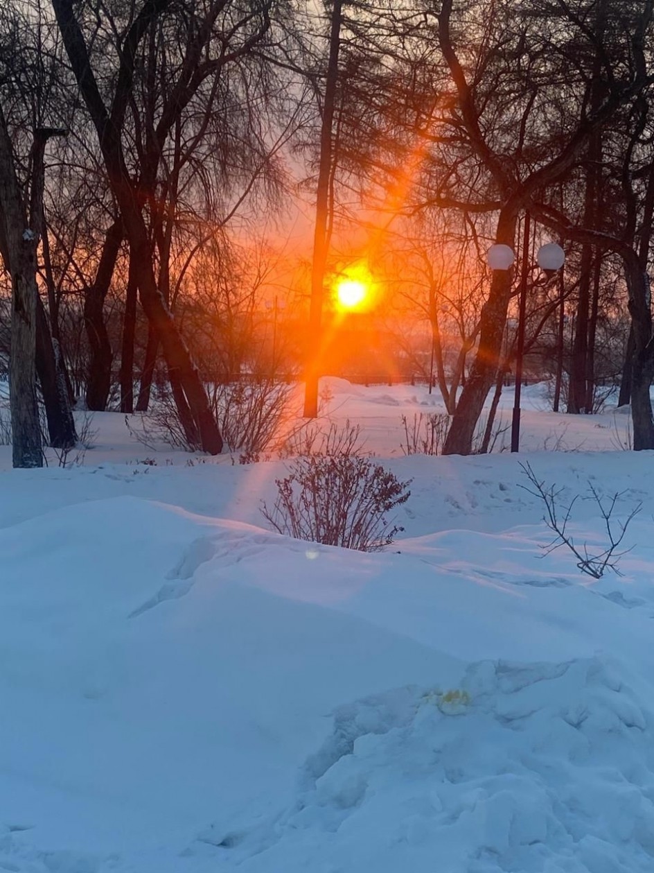 Зимнее солнце
