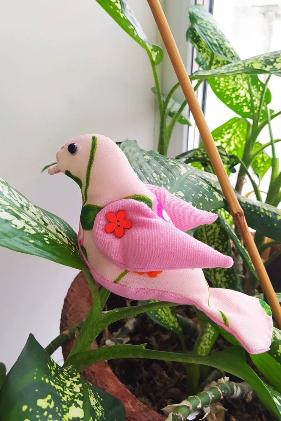 Райская птичка
