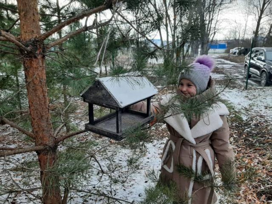 На помощь птицам