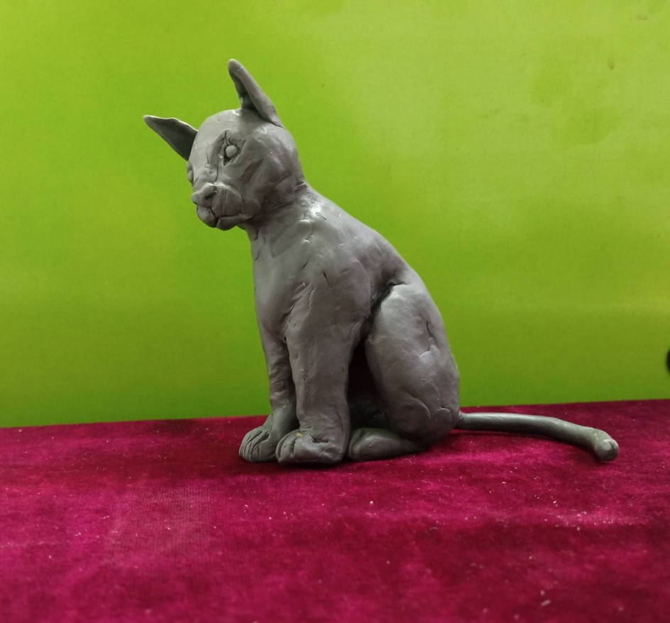 Задуманная кошка