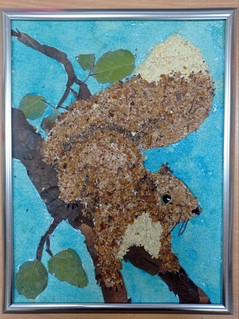 Белка