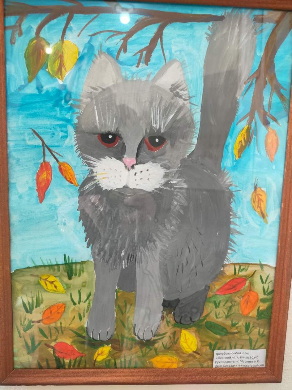 Кот