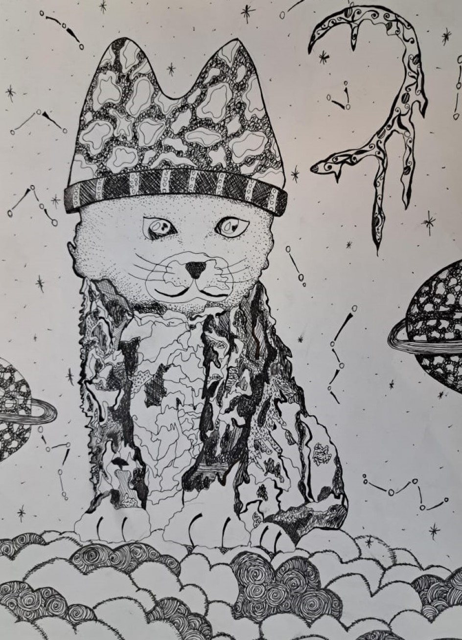 Котик на луне