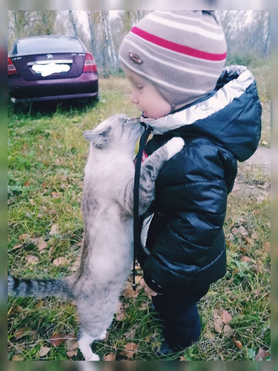 Друзья