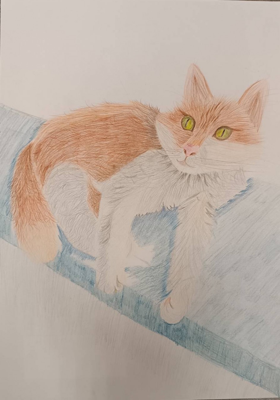 Любимая кошка Маруся